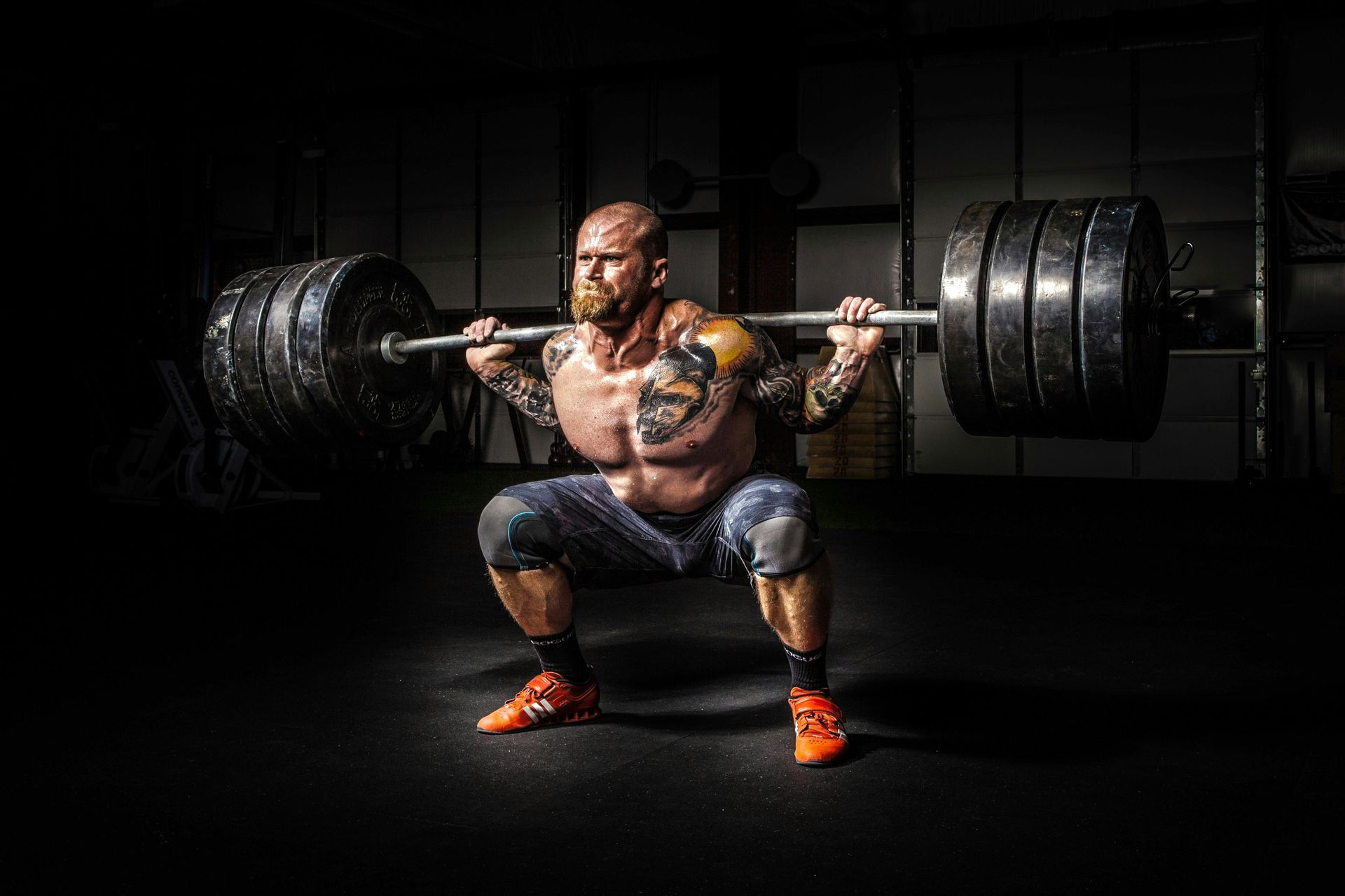 which is the best formula for a pre workout supplement